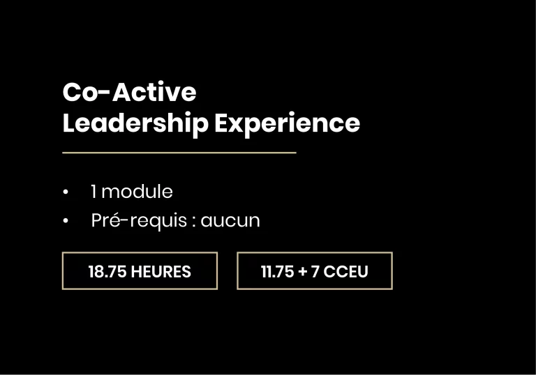 Co-Active Leadership Experience