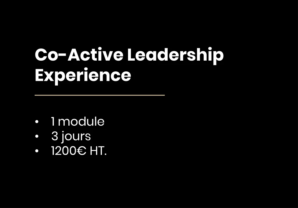 La co-active leadership experience