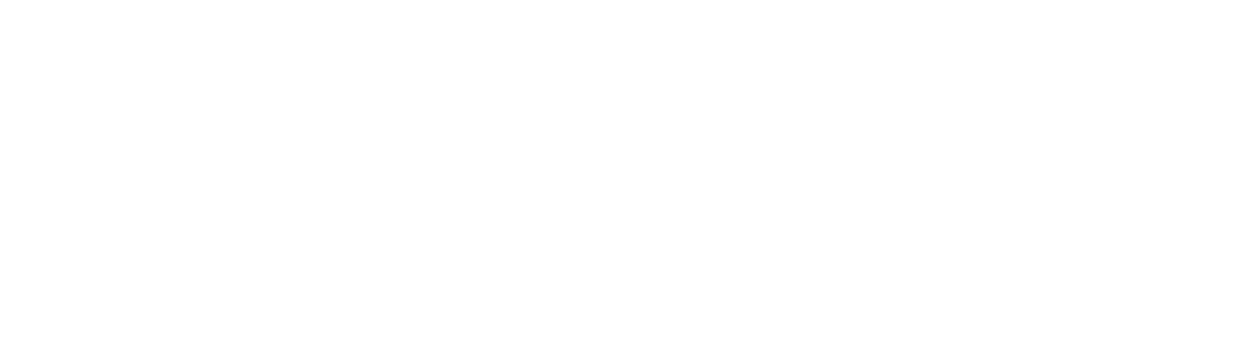 Coaching ORSC - logo blanc