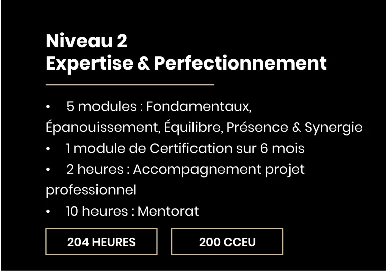 Niveau 2 : expertise et perfectionnement