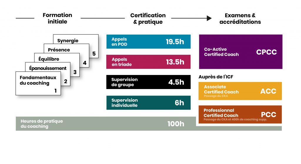 Découvrez le contenu du Niveau 2 de la formation au coaching Co-Active